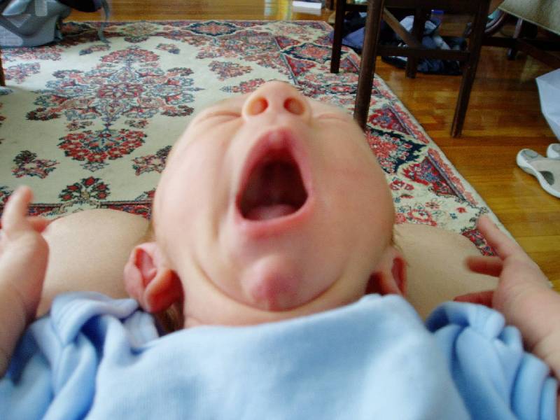18 Open Wide 